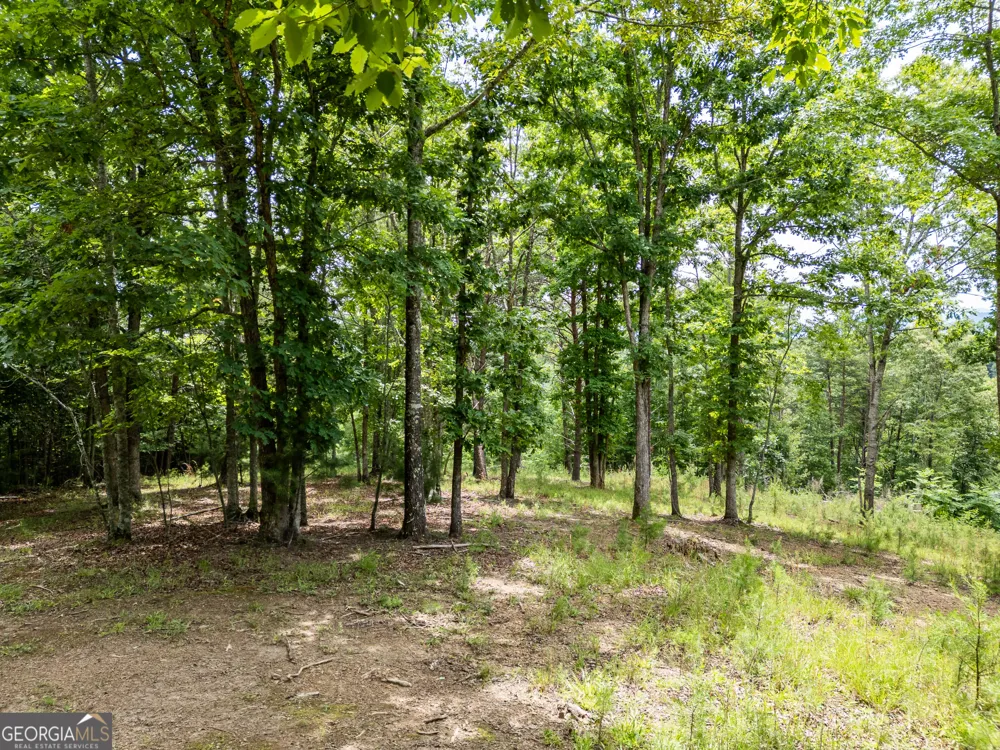 LT 1 Stormy Ridge Brasstown, NC 28902