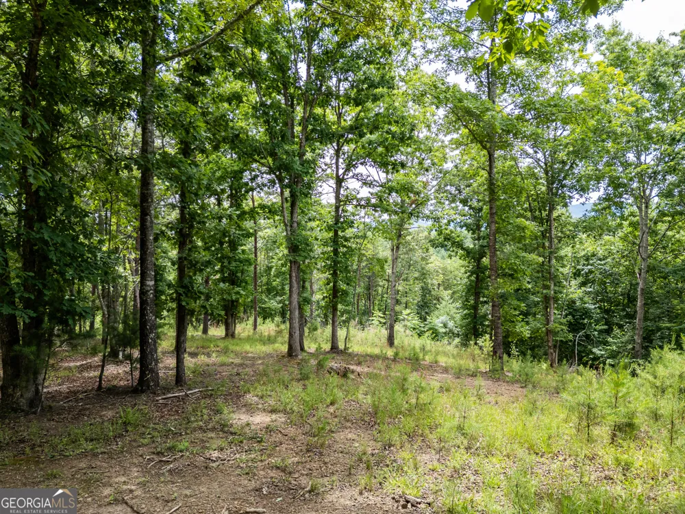 LT 1 Stormy Ridge Brasstown, NC 28902