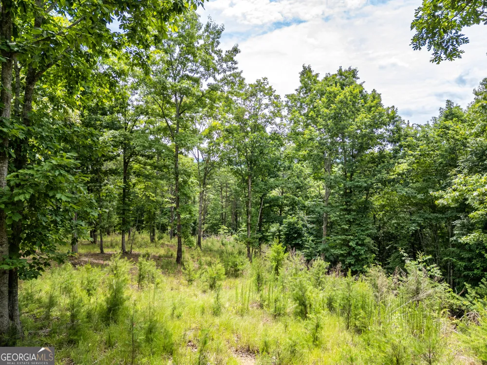 LT 1 Stormy Ridge Brasstown, NC 28902