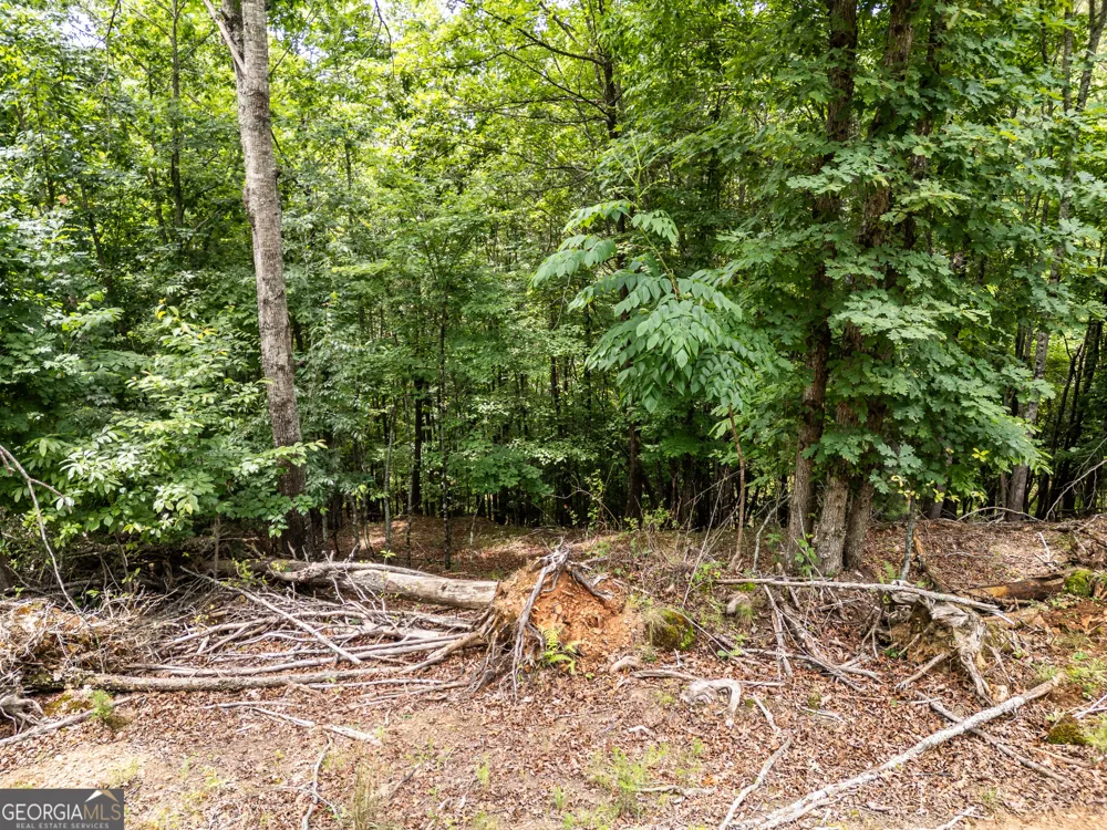LT 1 Stormy Ridge Brasstown, NC 28902