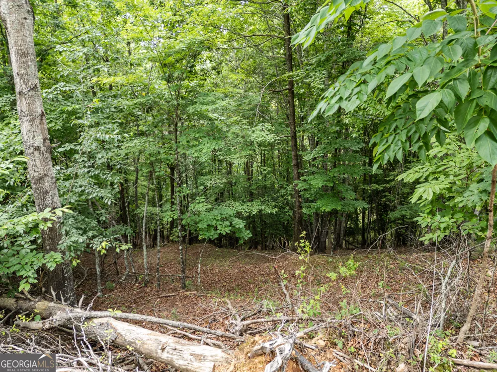 LT 1 Stormy Ridge Brasstown, NC 28902