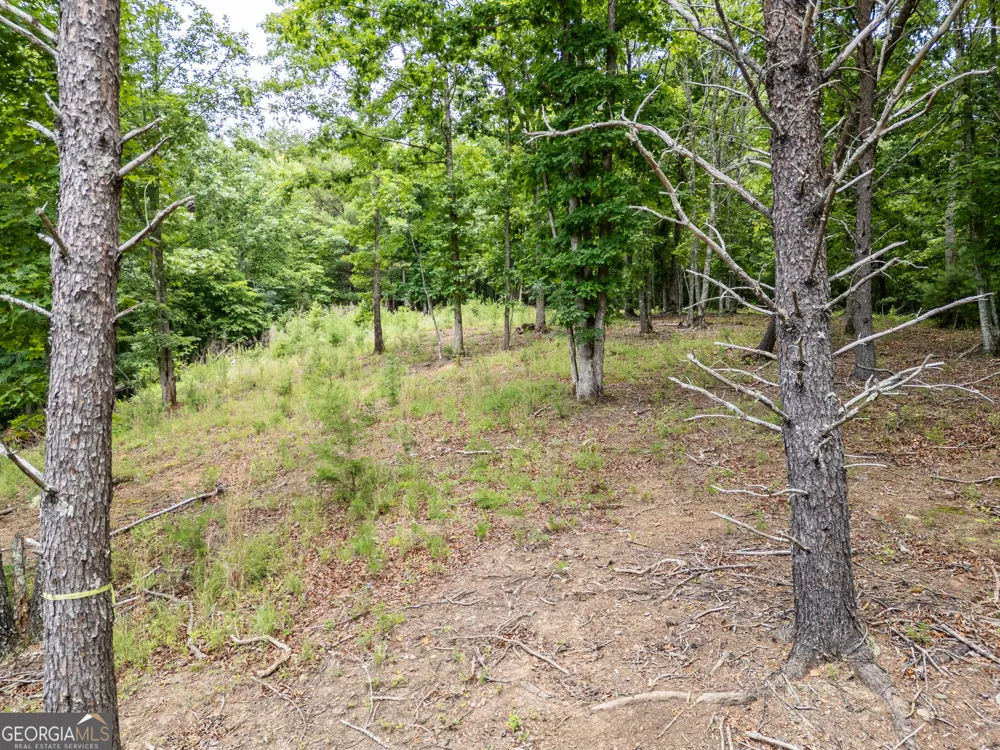 LT 1 Stormy Ridge Brasstown, NC 28902