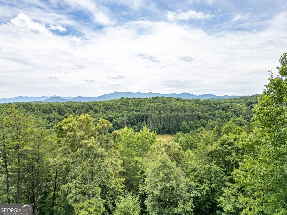 LT 1 Stormy Ridge Brasstown, NC 28902