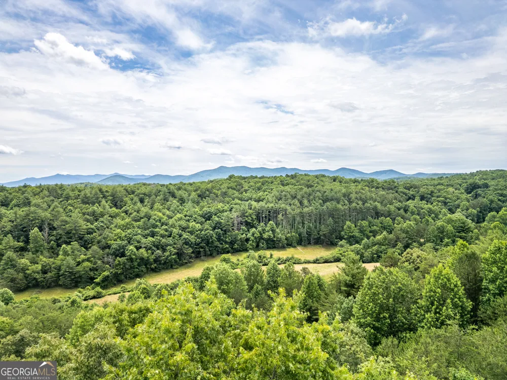 LT 1 Stormy Ridge Brasstown, NC 28902
