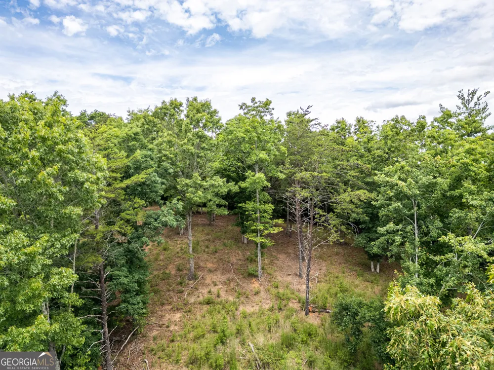 LT 1 Stormy Ridge Brasstown, NC 28902