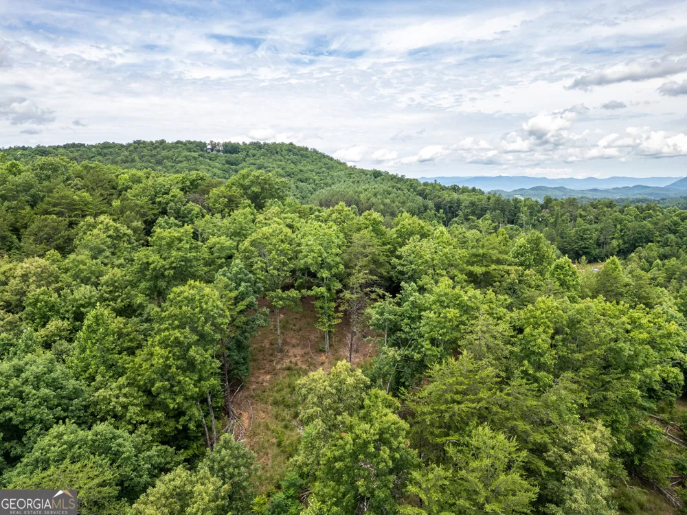 LT 1 Stormy Ridge Brasstown, NC 28902