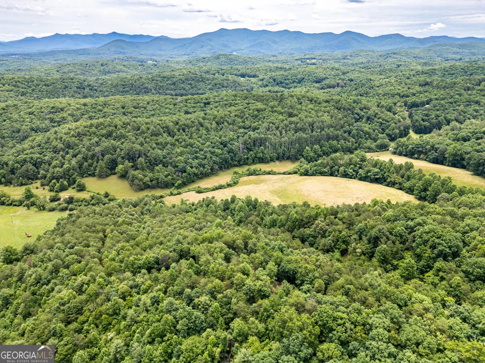 LT 1 Stormy Ridge Brasstown, NC 28902