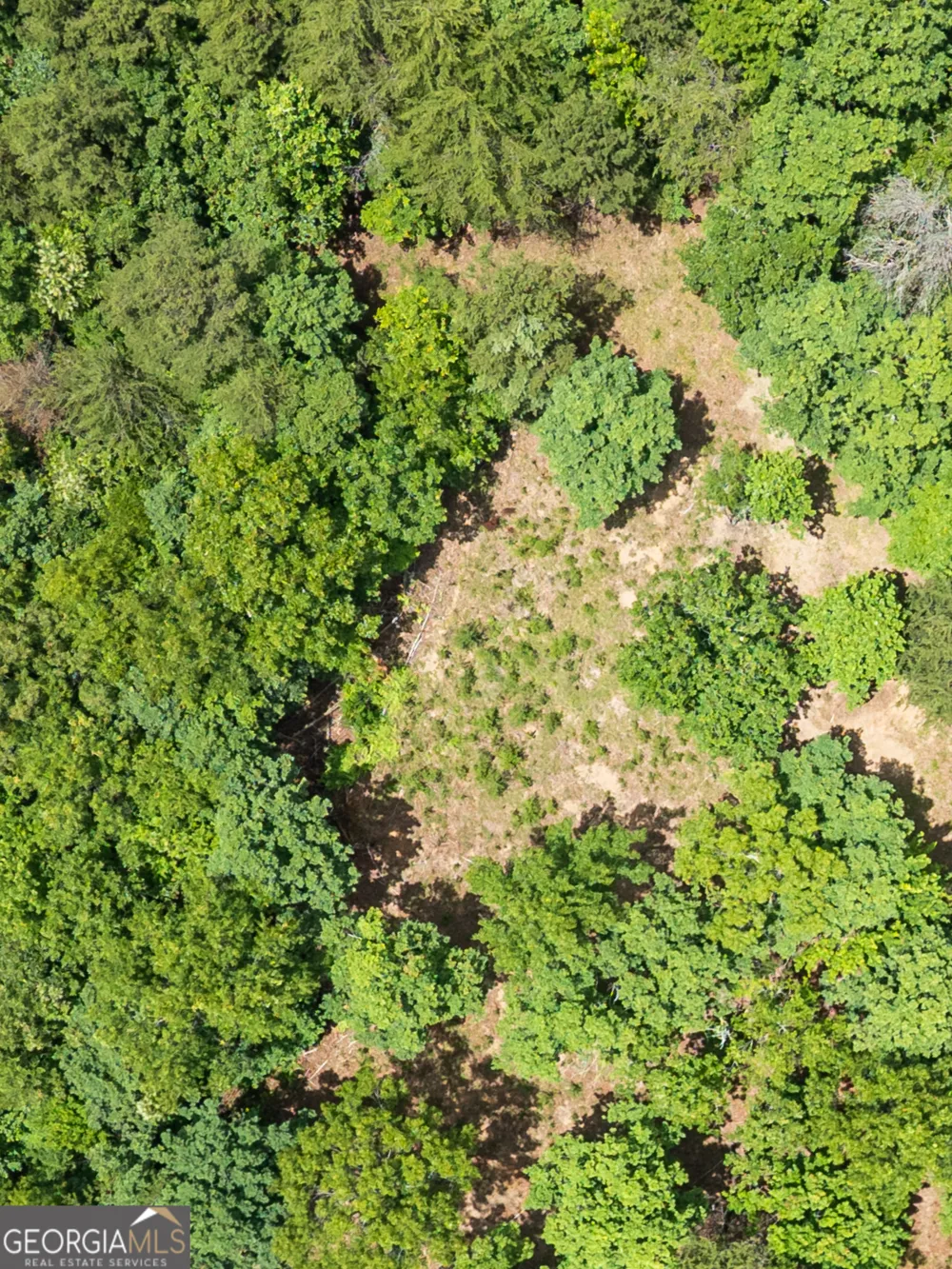 LT 1 Stormy Ridge Brasstown, NC 28902