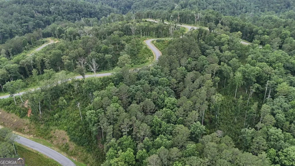 0 River View TRL Ellijay, GA 30540