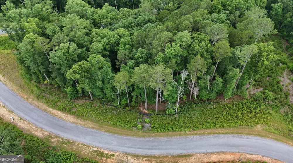 0 River View TRL Ellijay, GA 30540