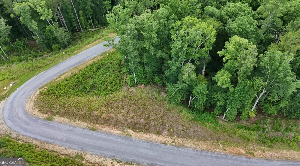 0 River View TRL Ellijay, GA 30540