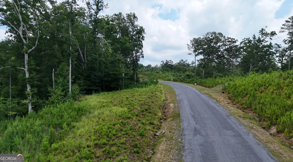 0 River View TRL Ellijay, GA 30540