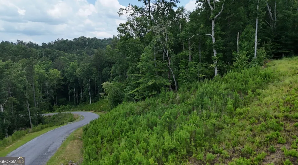 0 River View TRL Ellijay, GA 30540