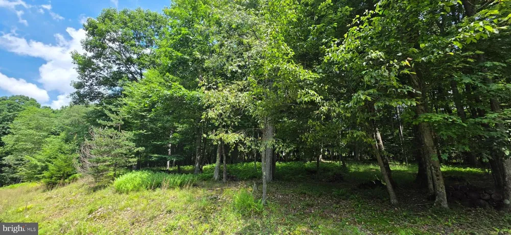 ROBINWOOD DRIVE #13 Oakland, MD 21550