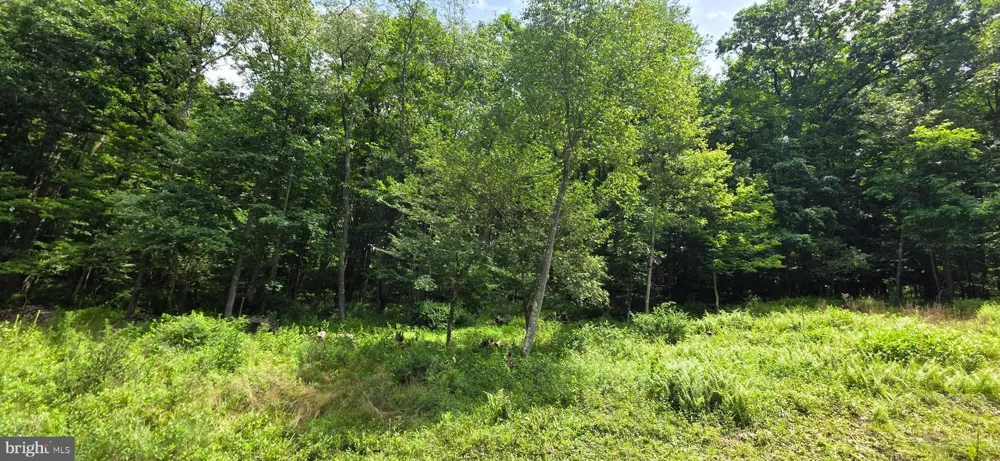 ROBINWOOD DRIVE #13 Oakland, MD 21550