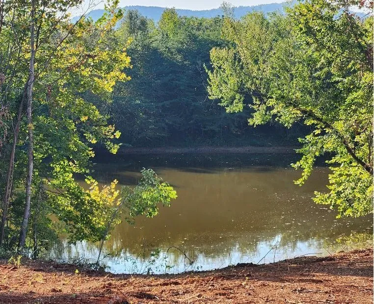 636 Myers Cove Rd Mc Minnville, TN 37110