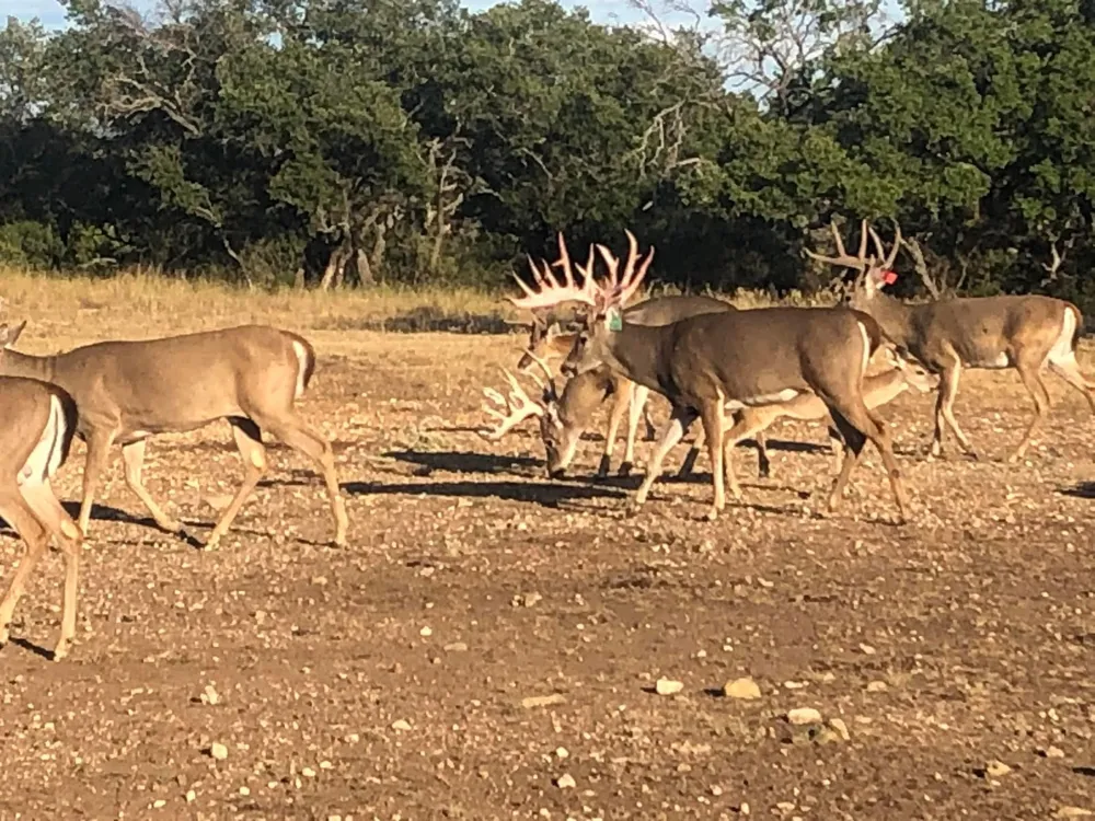7735 Fm 502 Rochelle, TX 76872