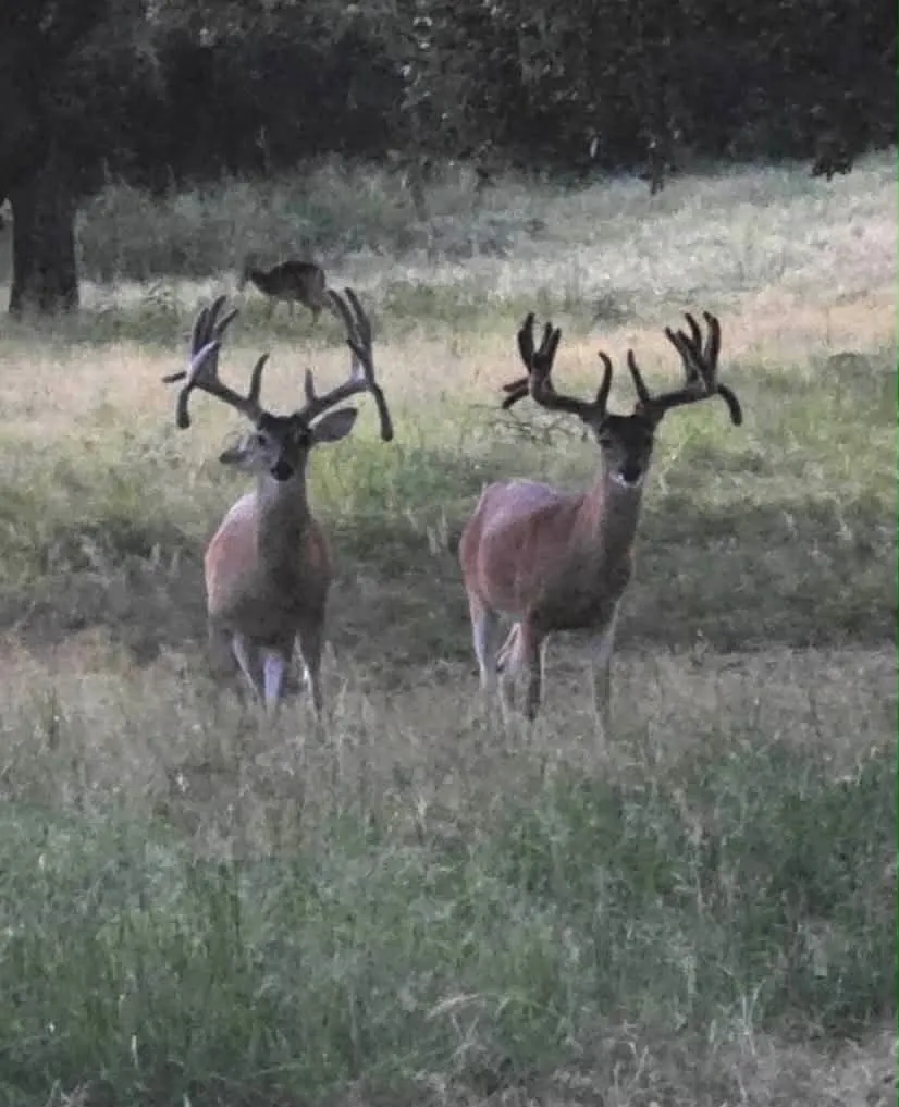 7735 Fm 502 Rochelle, TX 76872