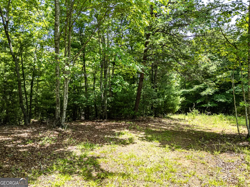 LT 2 Stormy Ridge Brasstown, NC 28902