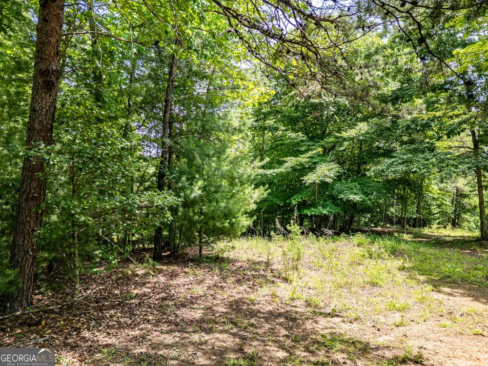 LT 2 Stormy Ridge Brasstown, NC 28902