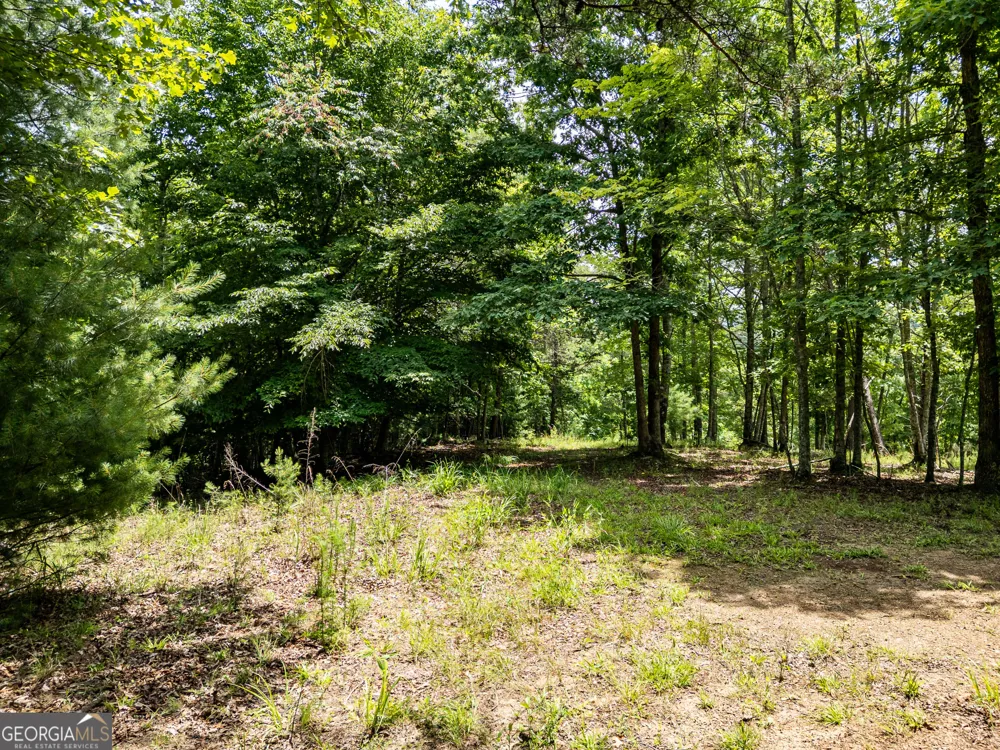 LT 2 Stormy Ridge Brasstown, NC 28902