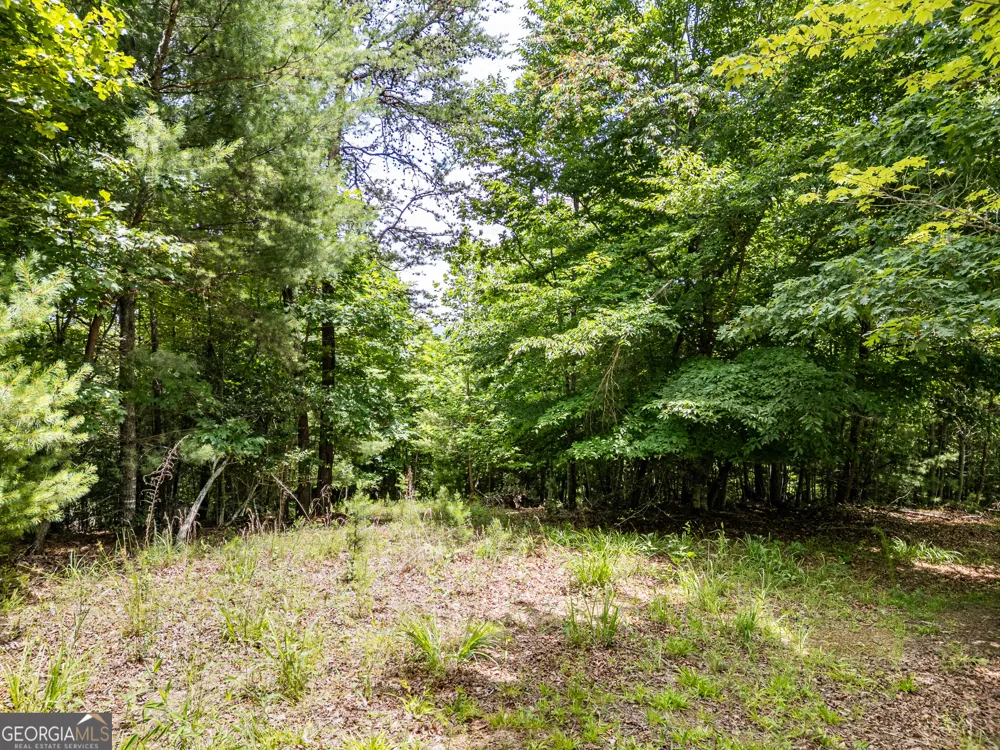 LT 2 Stormy Ridge Brasstown, NC 28902