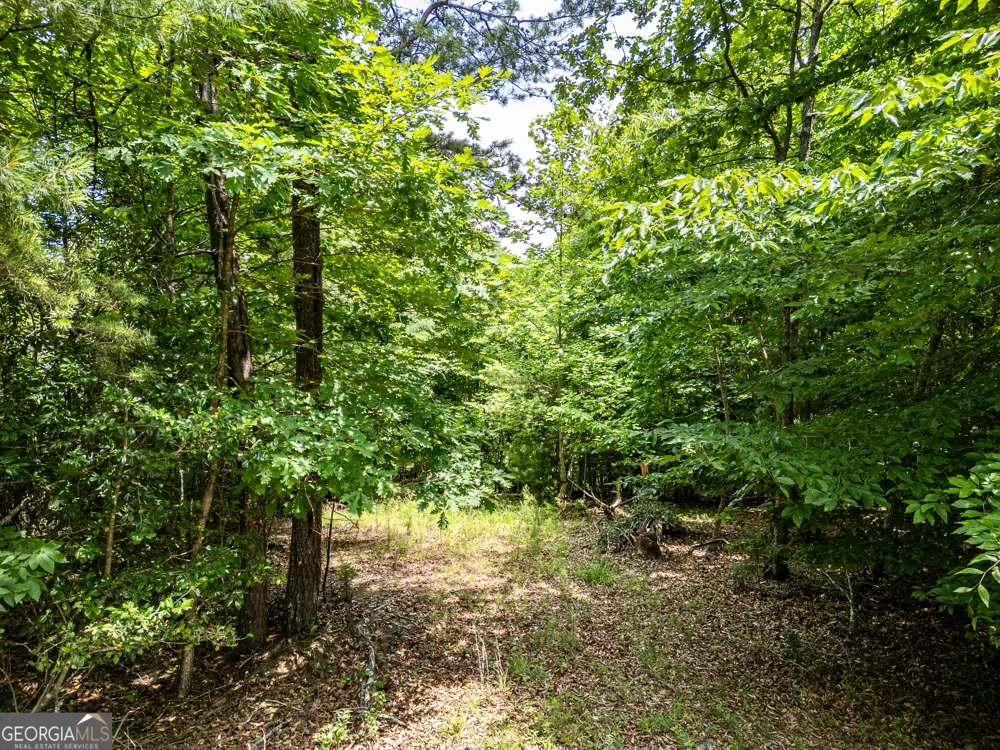 LT 2 Stormy Ridge Brasstown, NC 28902