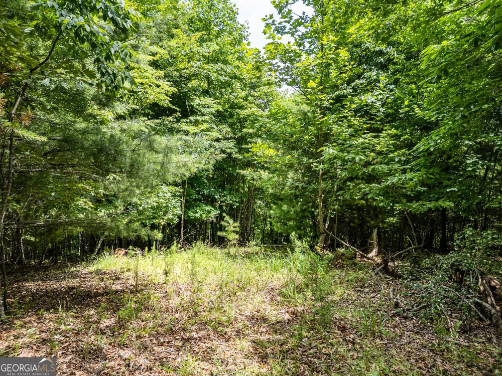 LT 2 Stormy Ridge Brasstown, NC 28902