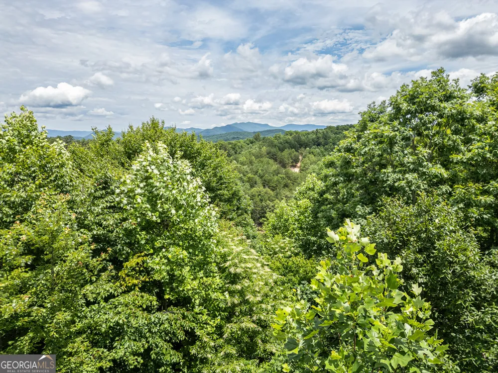 LT 2 Stormy Ridge Brasstown, NC 28902