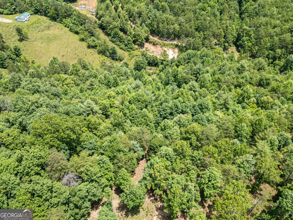 LT 2 Stormy Ridge Brasstown, NC 28902