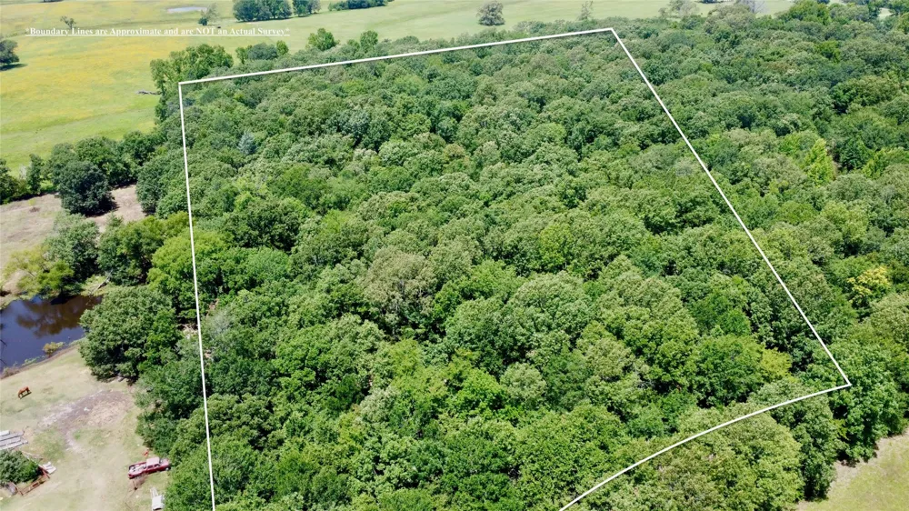 CR 44400 Powderly, TX 75473