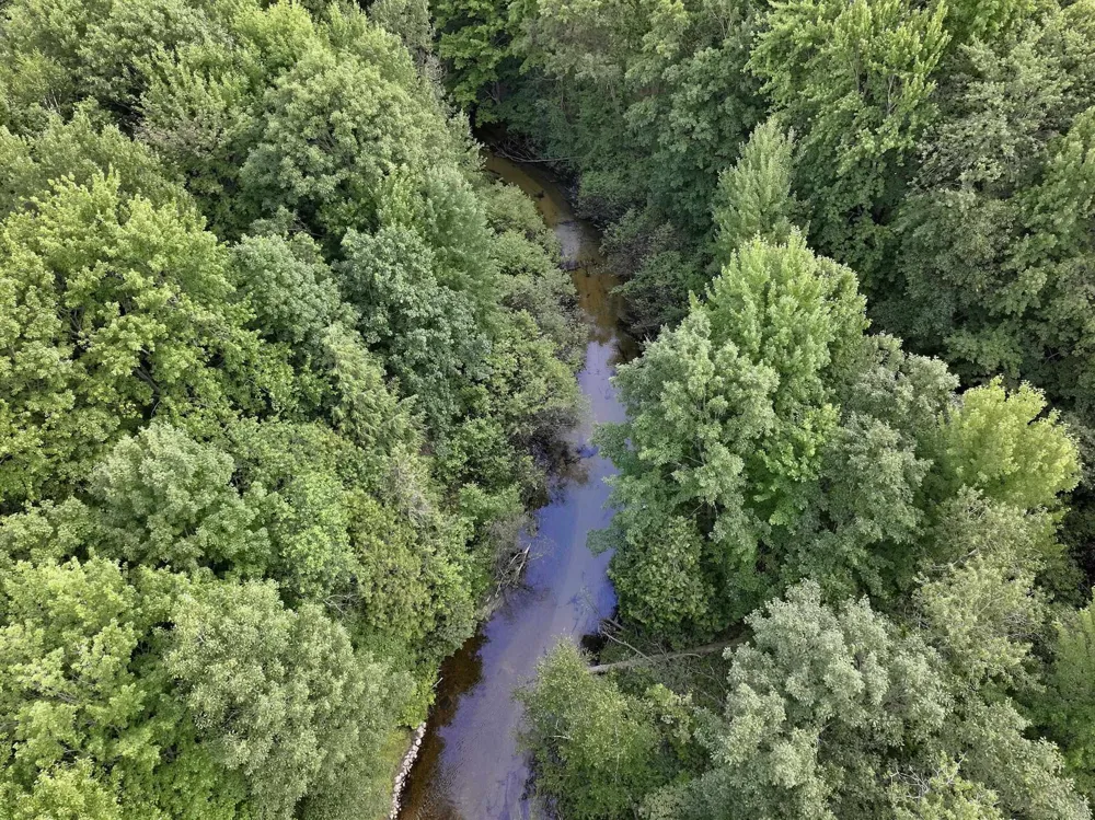 8304 W Whispering Pine Circle Lake Township, MI 49651
