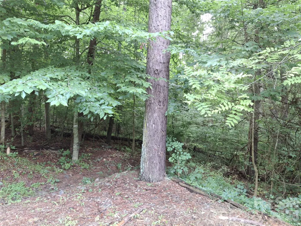 232 Tilson Drive Mars Hill, NC 28754