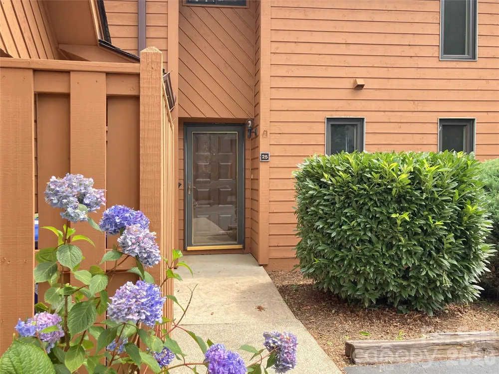 25 Village Drive Asheville, NC 28803
