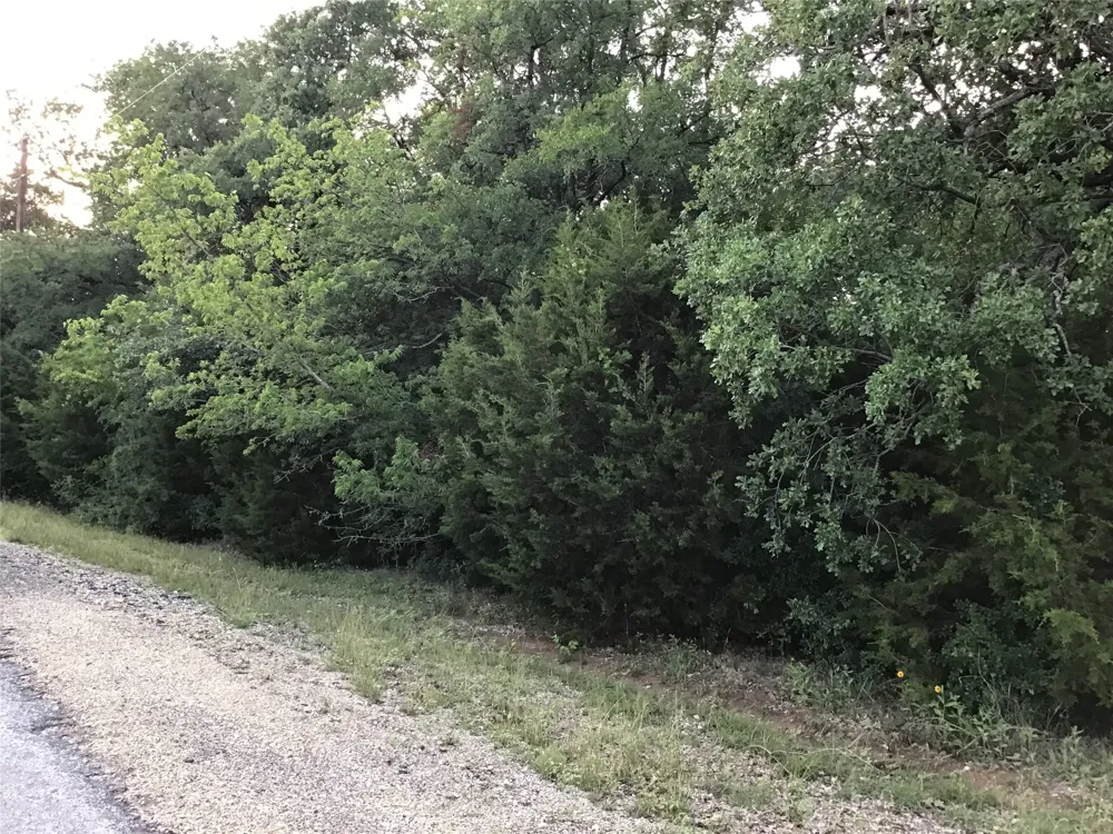 44021 Fringewood Drive Whitney, TX 76692