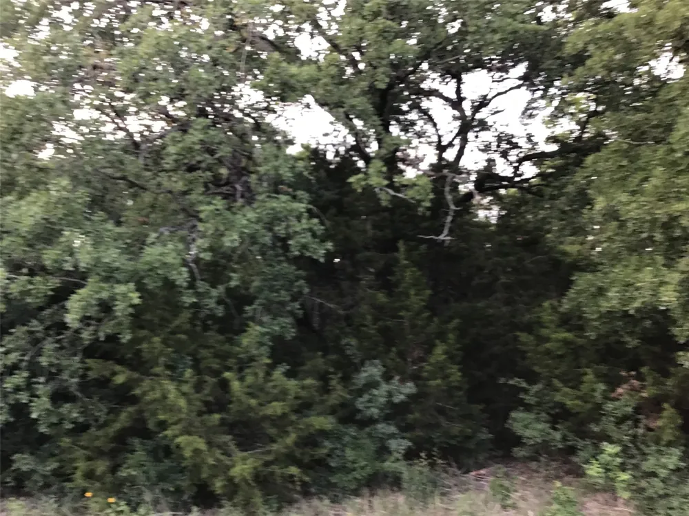 44021 Fringewood Drive Whitney, TX 76692