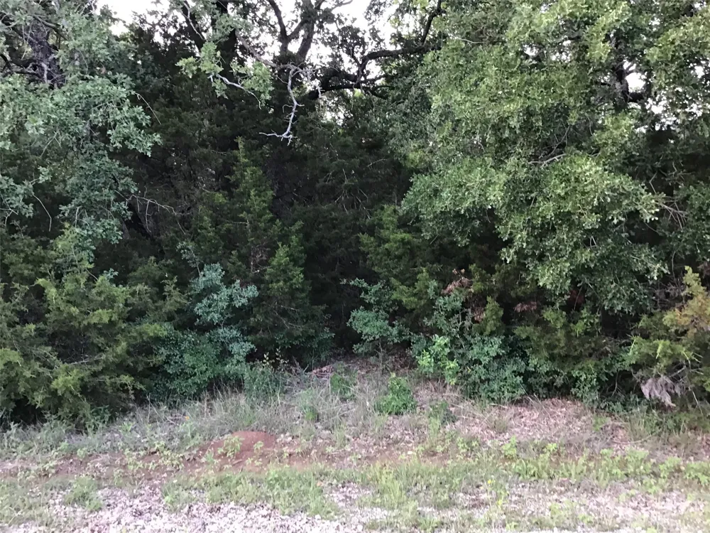 44021 Fringewood Drive Whitney, TX 76692
