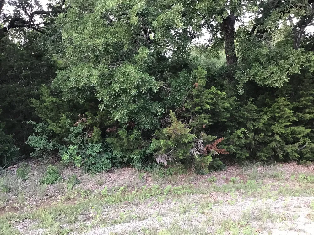44021 Fringewood Drive Whitney, TX 76692