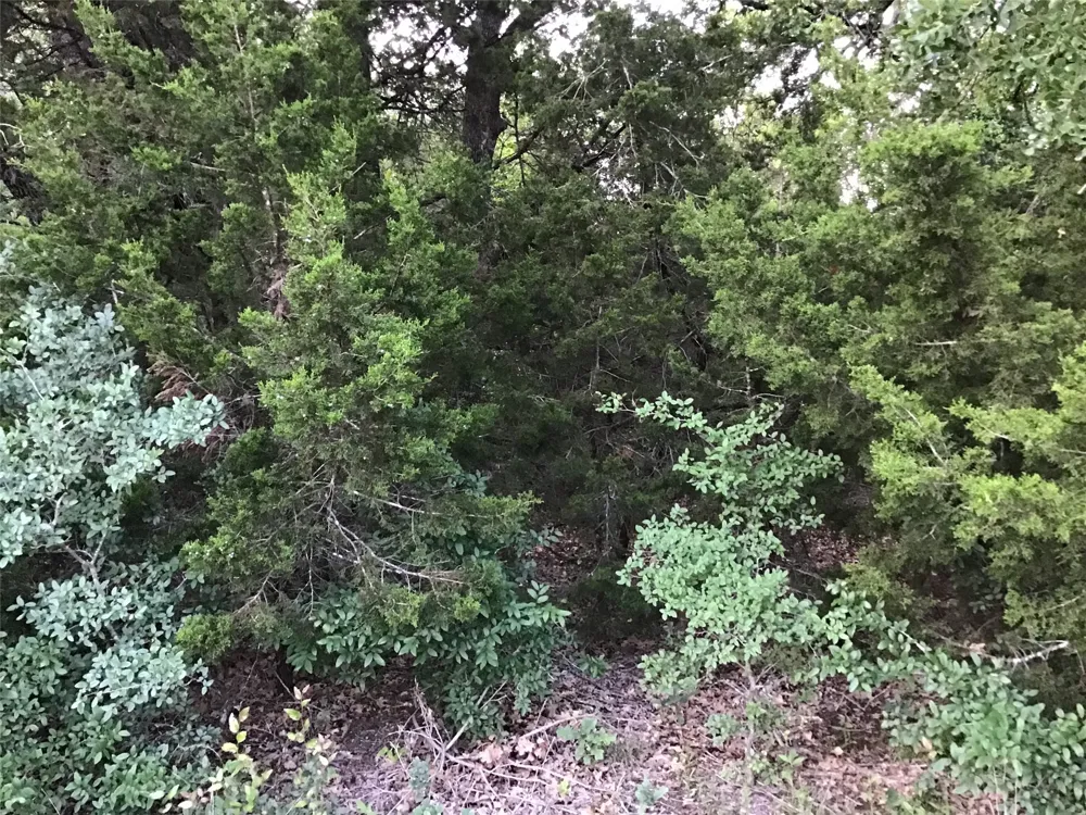 44021 Fringewood Drive Whitney, TX 76692
