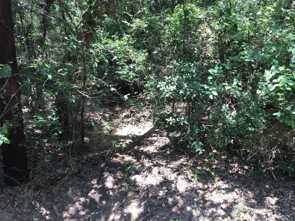 44021 Fringewood Drive Whitney, TX 76692