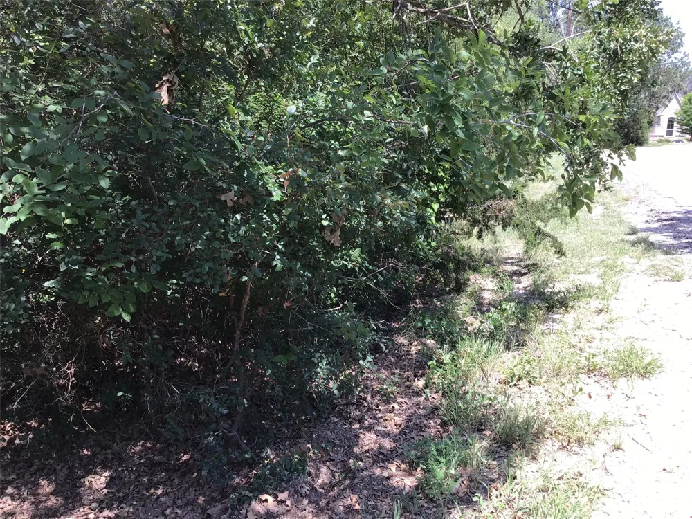 44021 Fringewood Drive Whitney, TX 76692