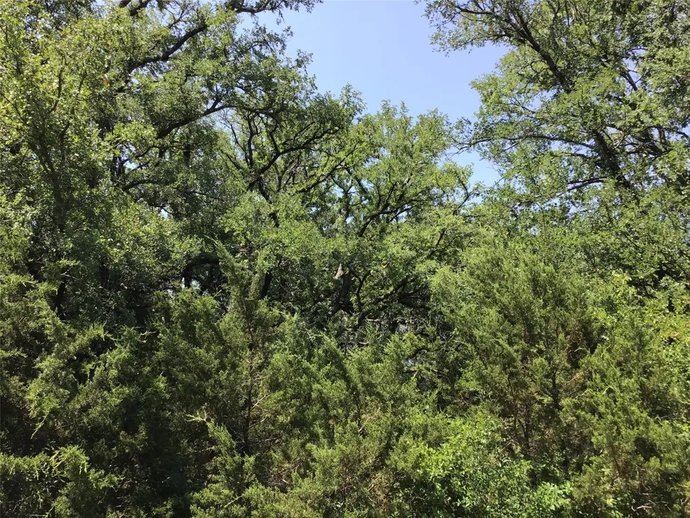 44021 Fringewood Drive Whitney, TX 76692