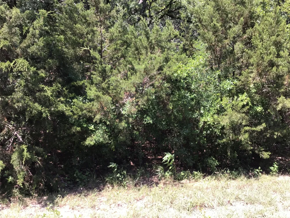 44021 Fringewood Drive Whitney, TX 76692
