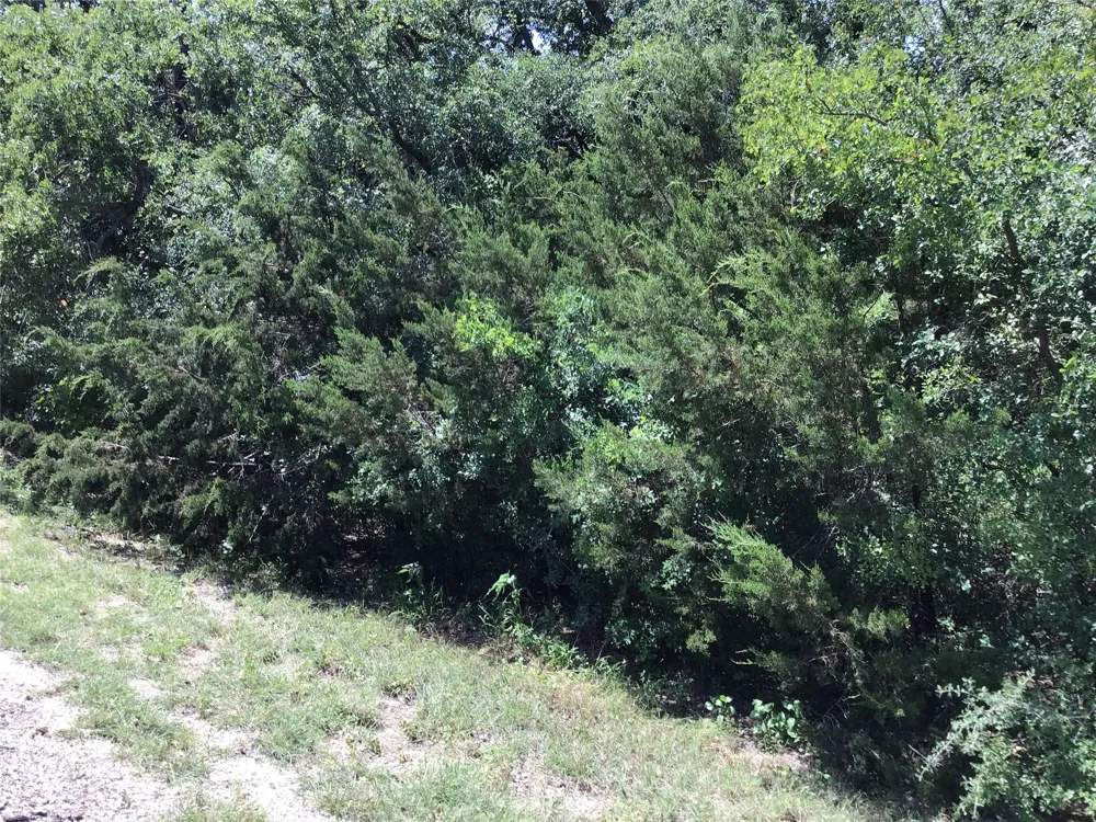 44021 Fringewood Drive Whitney, TX 76692