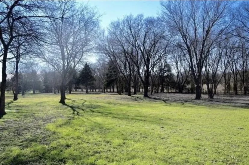 441 Country Club Road #A(Right side) Fairview, TX 75069