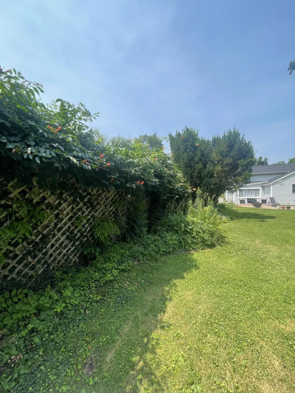 310 Union Street Tecumseh, MI 49286