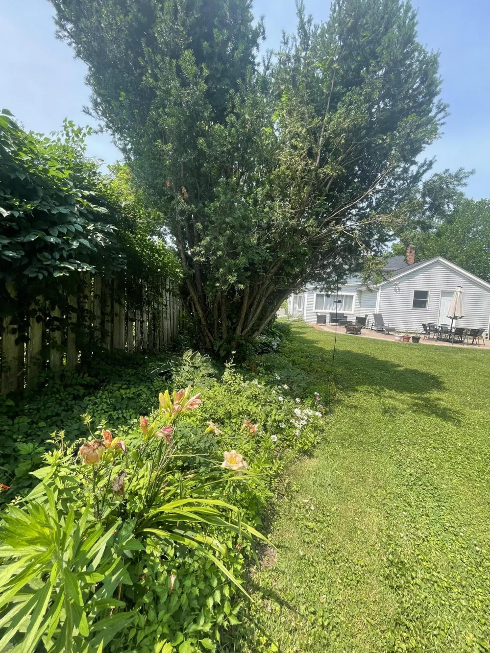 310 Union Street Tecumseh, MI 49286