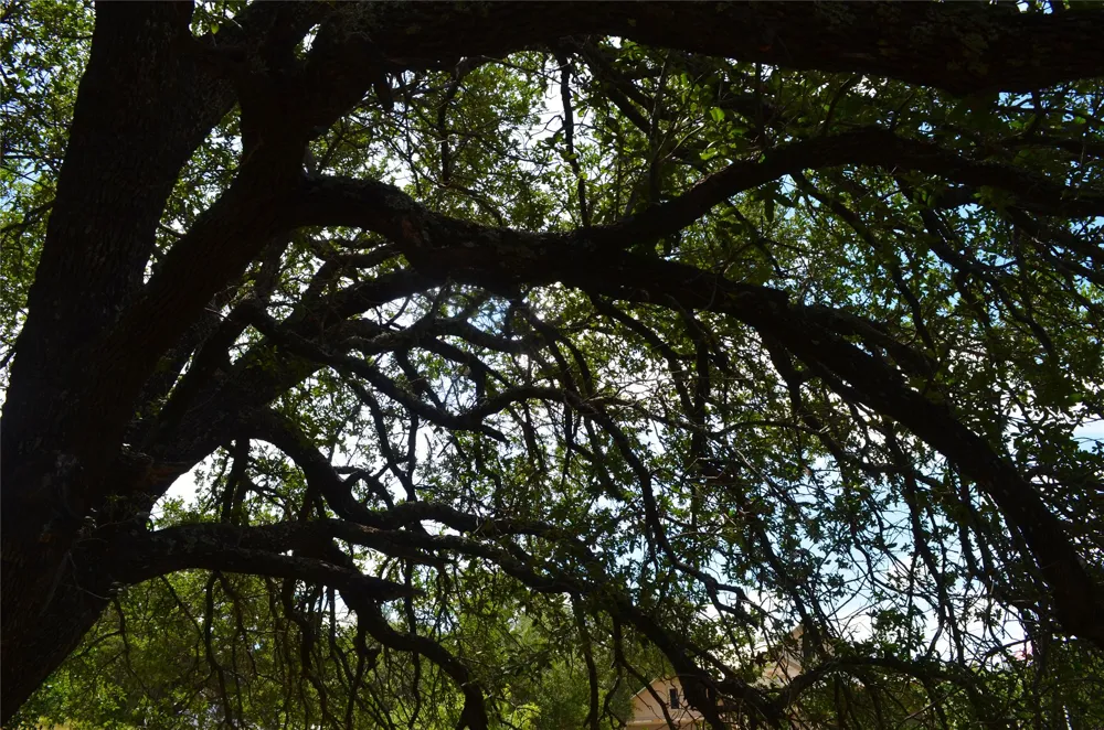 2091 Turquoise Horseshoe Bay, TX 78657