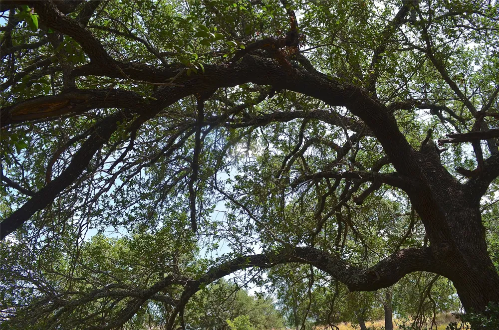 2091 Turquoise Horseshoe Bay, TX 78657