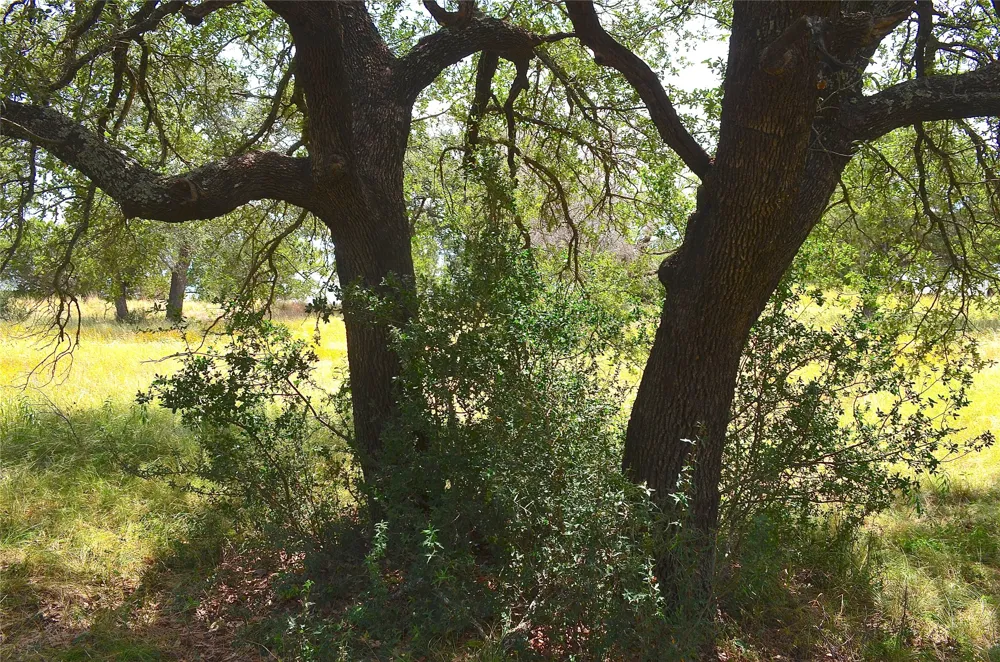 2091 Turquoise Horseshoe Bay, TX 78657